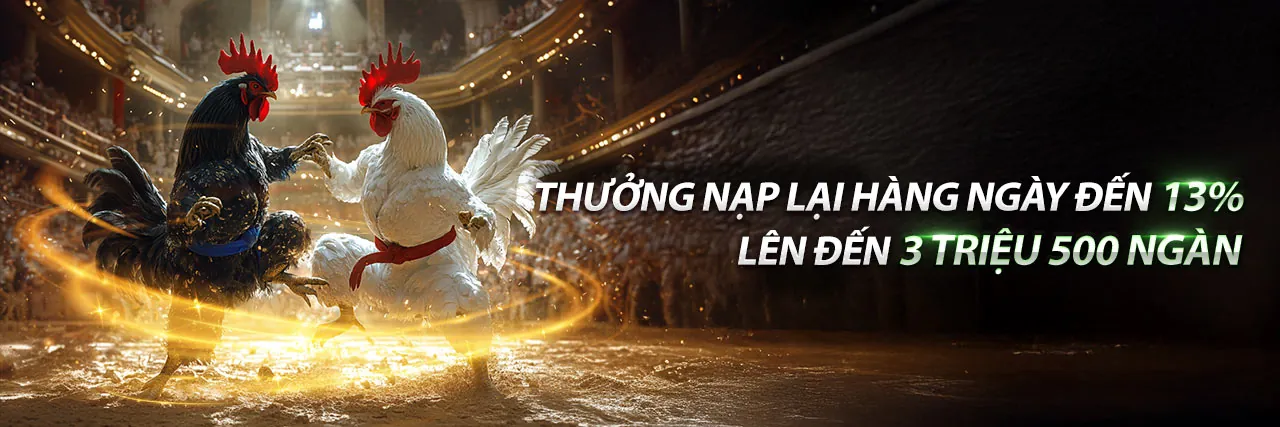 Đá Gà Trực Tuyến Sun88 Login